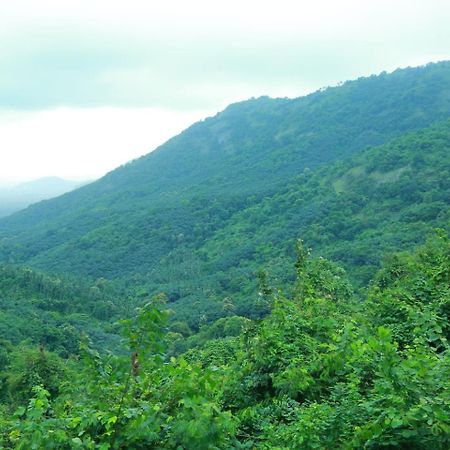 Whiteflower Mountain Resort Perintalmanna 外观 照片